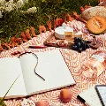 Picnic items are laid out on a blanket in the grass